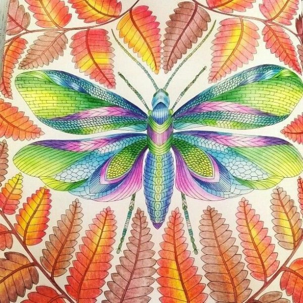 Милли Маротта чудеса природы Павлин