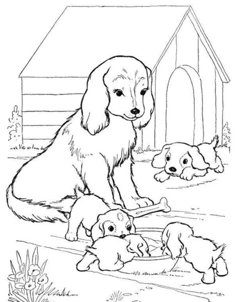 Щенок. Раскраска