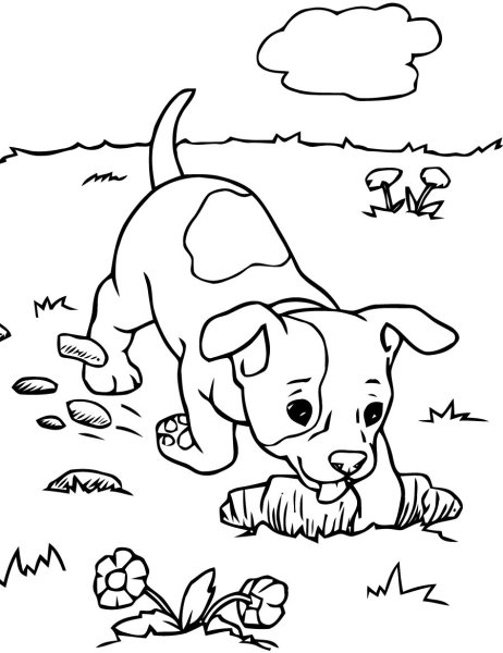 Собака рисунок раскраска