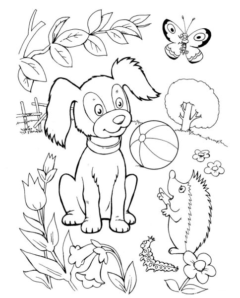 Раскраска собачка для детей 6-7 лет