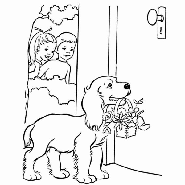 Раскраска собака и щенок для детей