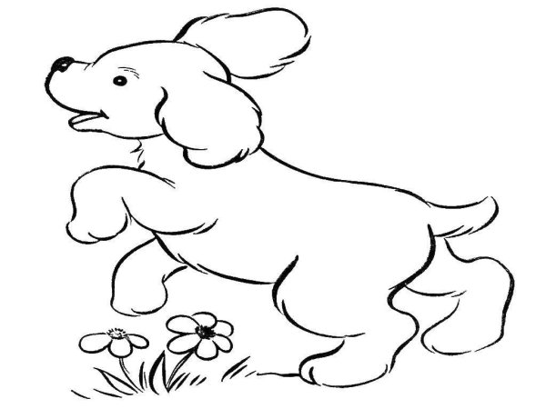 Контур собаки для раскрашивания