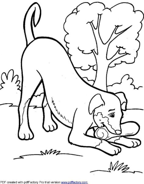 Четвероногие животные раскраски