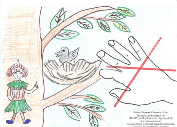 Раскраска Эколята защитники природы