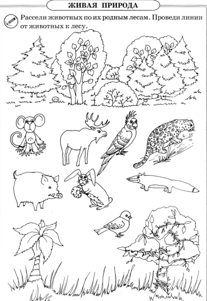 Живая и неживая природа задания для дошкольников