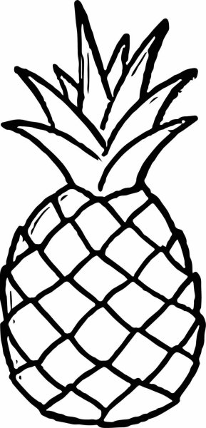 Ананас контур