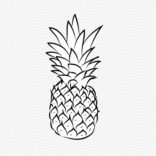 Ананас рисунок карандашом для срисовки
