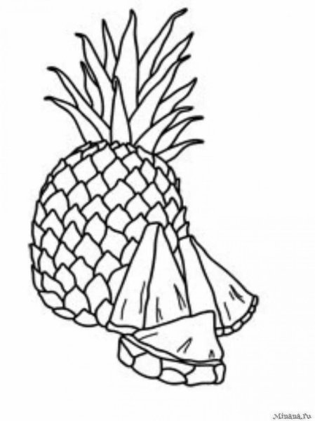 Натюрморт раскраска фрукты ананасы