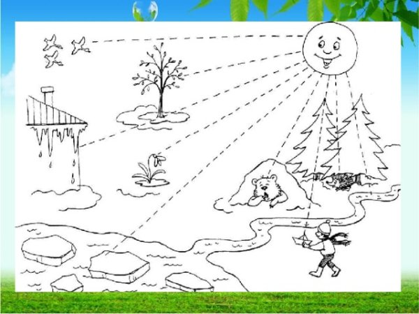 Живая и неживая природа задания для дошкольников