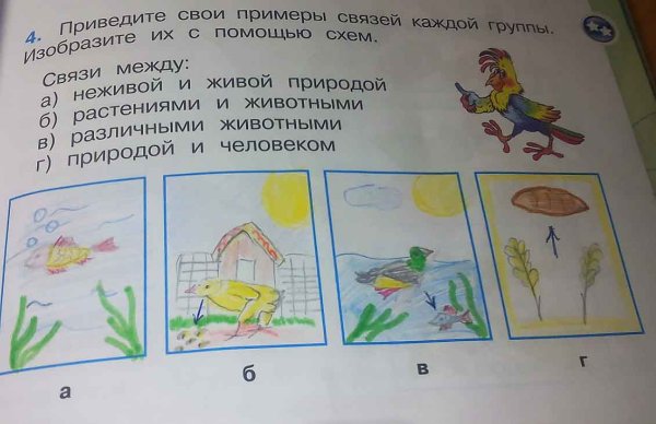 Вязь между живой и не живой природой