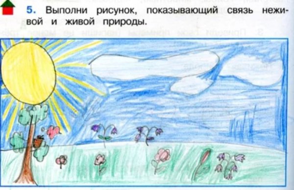 Связь живой и неживой природы рисунок