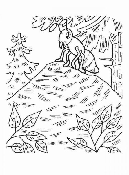 Муравейник раскраска для детей