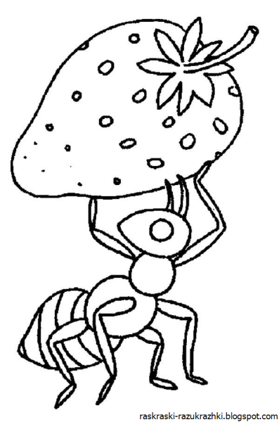 Муравей раскраска