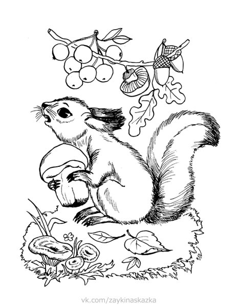 Бианки Лесные домишки раскраска