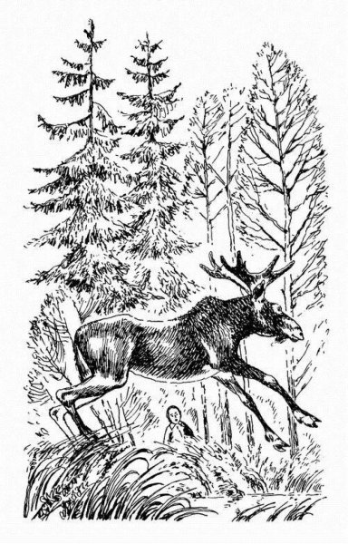 Пришвин кладовая солнца Лось