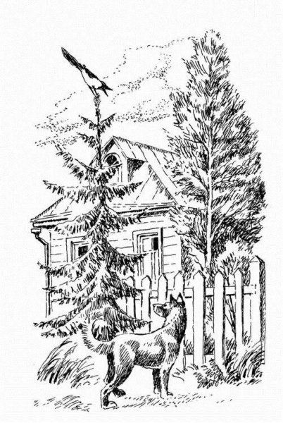 Иллюстрация к рассказу Пришвина кладовая солнца