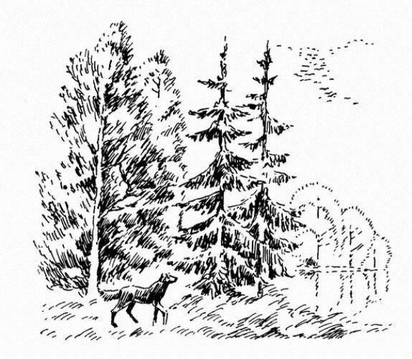 Пришвин моя Родина кладовая солнца