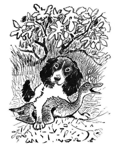 Пришвин Вася Веселкин