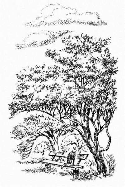 Пришвин Лесной хозяин раскраска