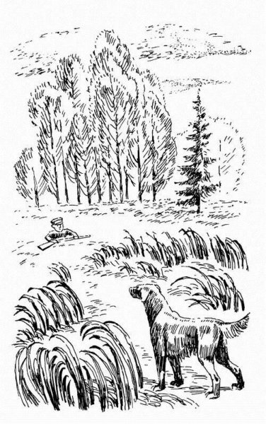 Иллюстрации к кладовой солнца Пришвина