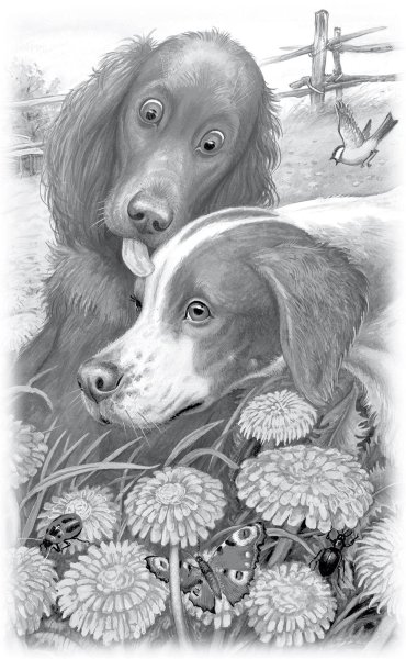 Пришвин иллюстрации к произведениям о природе