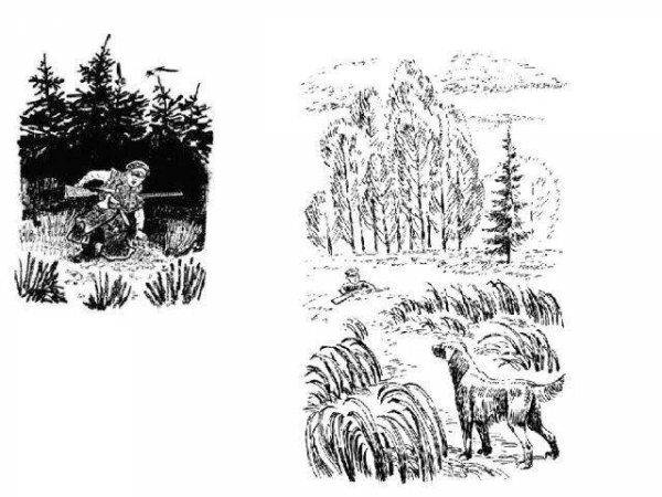 Иллюстрации к сказке кладовая солнца пришвин