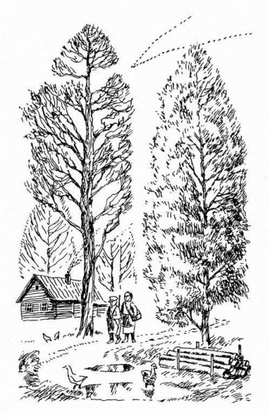 Иллюстрация к рассказу кладовая солнца