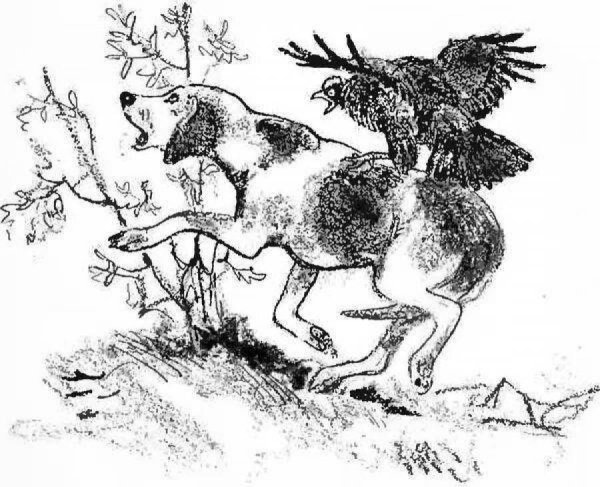 В краю дедушки Мазая пришвин