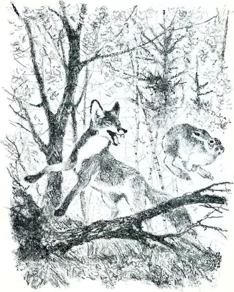 Михаил пришвин в краю дедушки Мазая