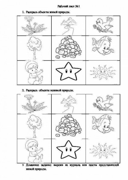 Живая и неживая природа задания