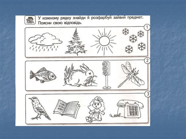 Живая и неживая природа 1 класс окружающий мир задания