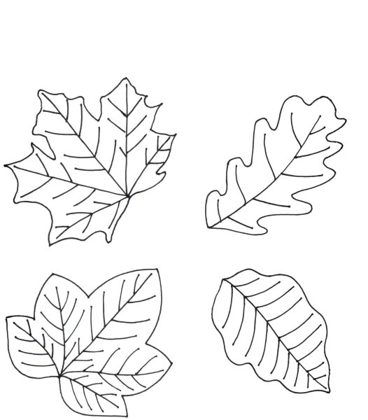 Осенние листья раскраска для детей