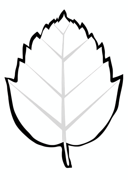 Раскраска листья деревьев для детей