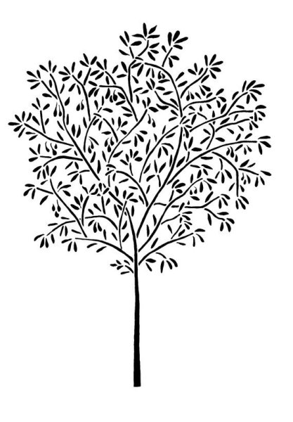 Раскраска рябина дерево