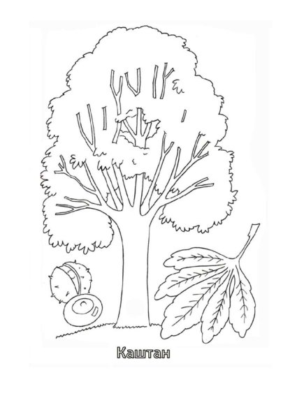 Дерево для раскрашивания для детей