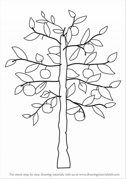 Дерево для рисования