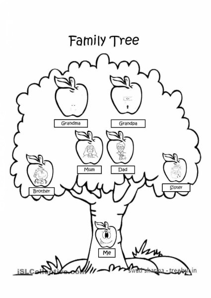 Древо семьи раскраска