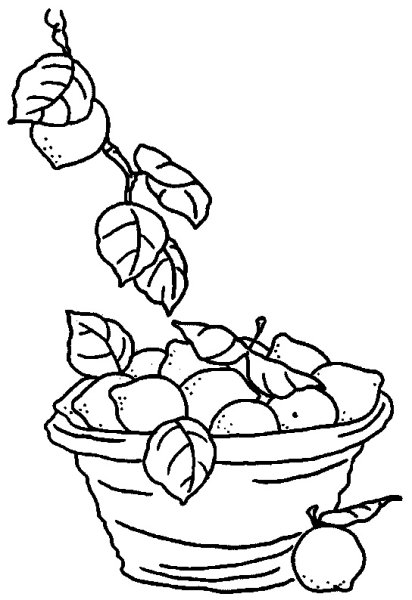 Фруктовый салат раскраска