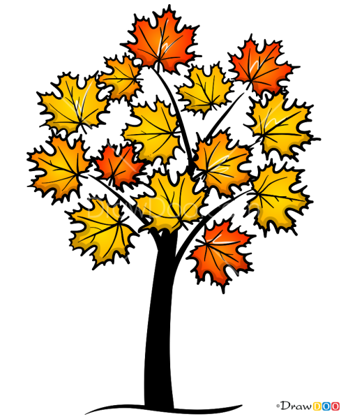 Клен для детей