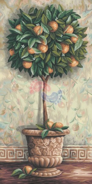 Шиппер апельсиновое дерево