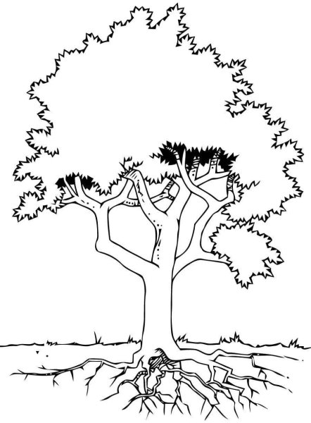 Иллюстрация к басне листы и корни