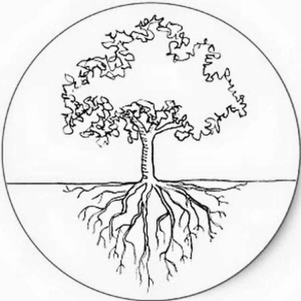 Дерево с корнями раскраска