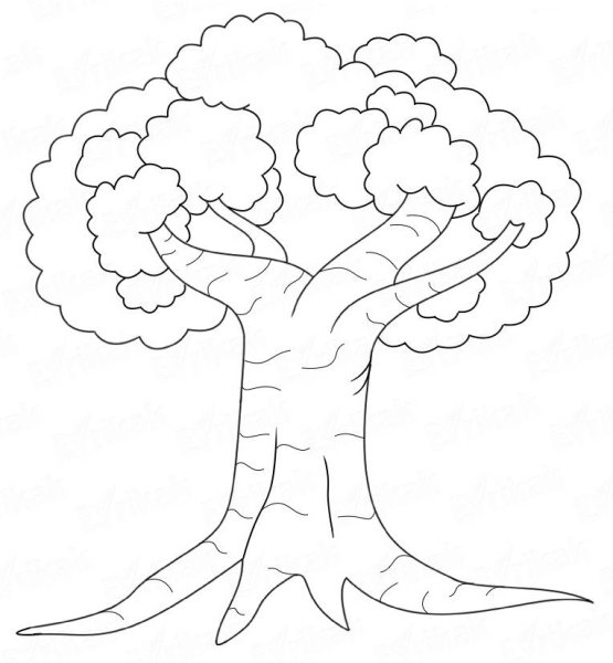 Дерево с корнями раскраска