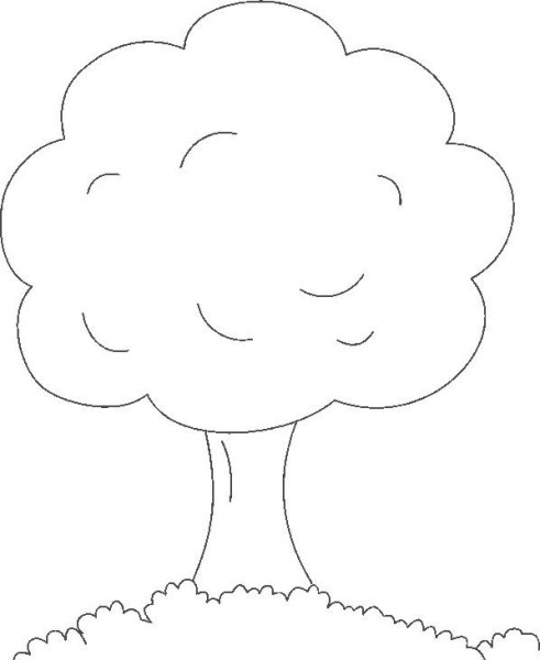 Раскраска яблоня без яблок