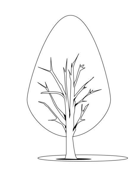 Маленькое деревце раскраска