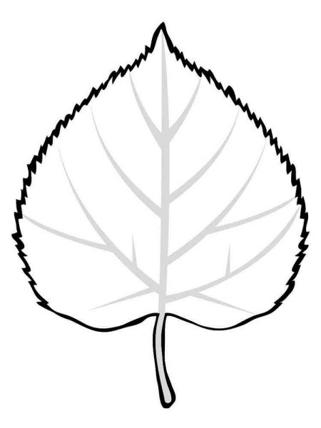 Листья раскраска для детей