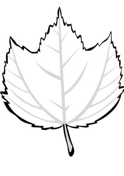 Листья раскраска