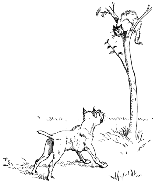 Собака лает на котенка