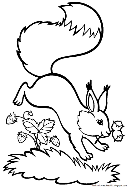 Раскраска булочка