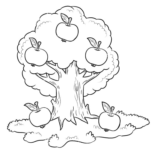 Раскраска яблоня с яблоками для детей